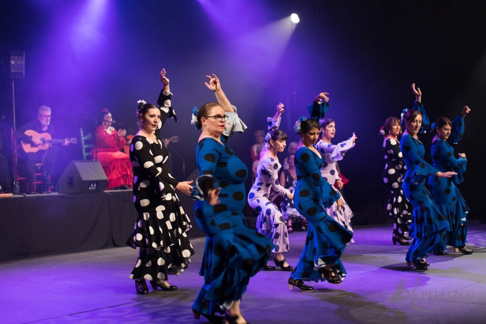 Photo de spectacle