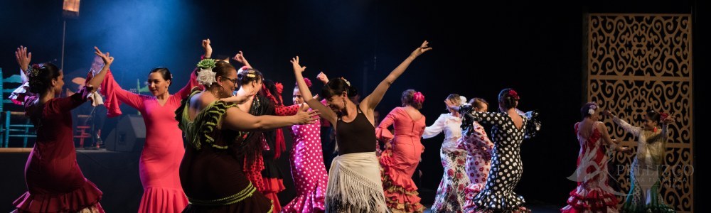 Photo de spectacle