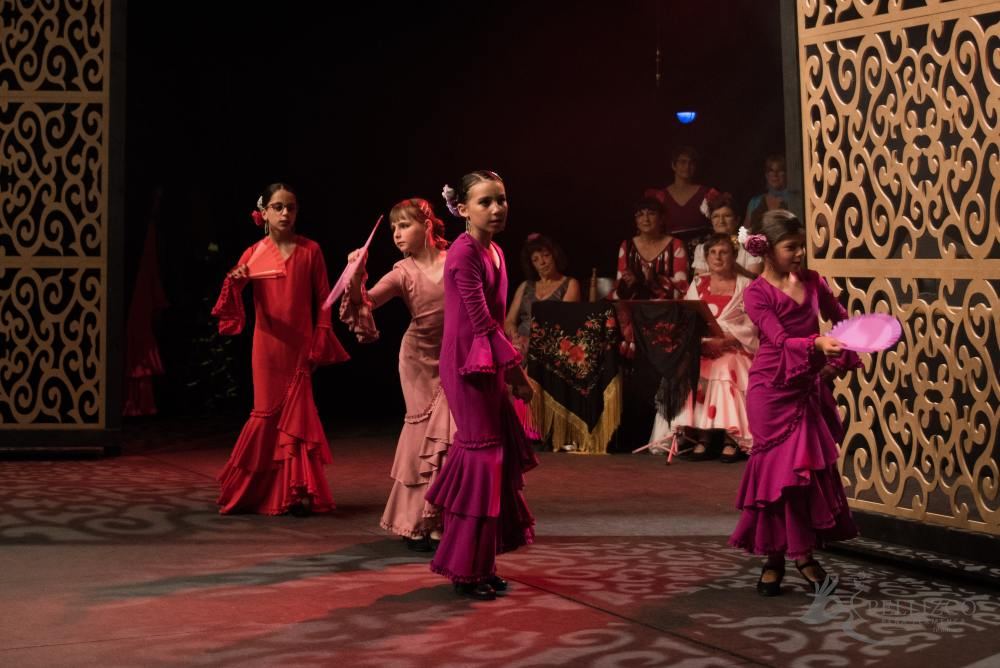 Photo de spectacle