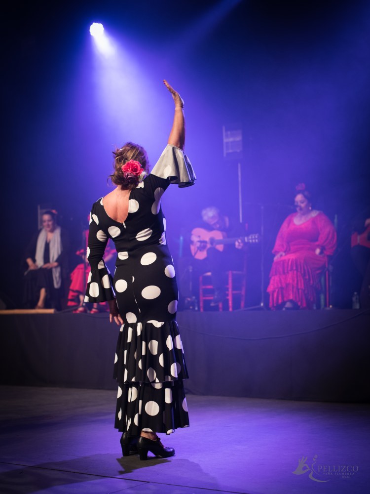 Photo de spectacle