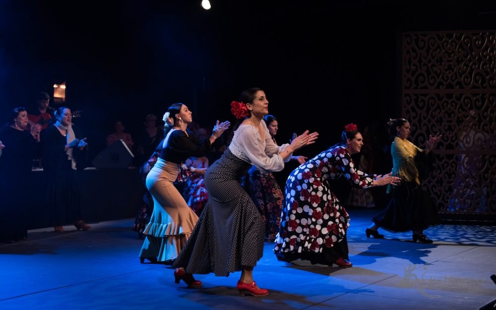 Photo de spectacle