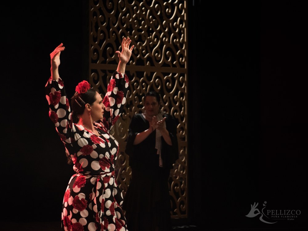 Photo de spectacle