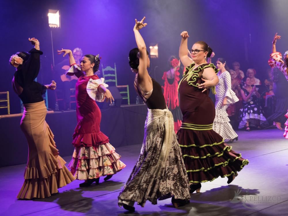 Photo de spectacle