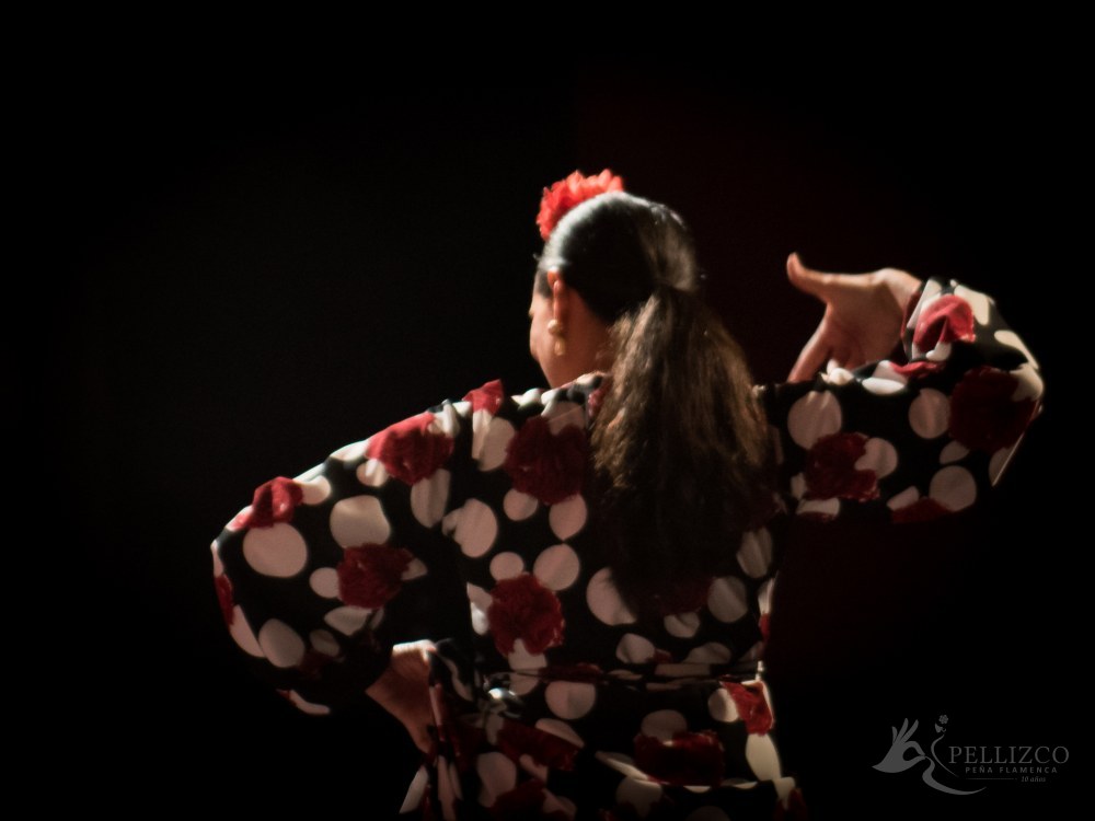 Photo de spectacle