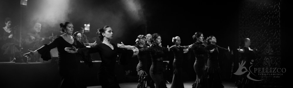 Photo de spectacle