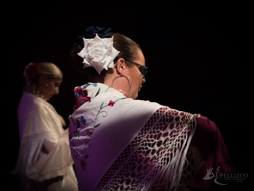Photo de spectacle