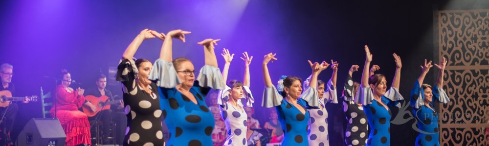 Photo de spectacle