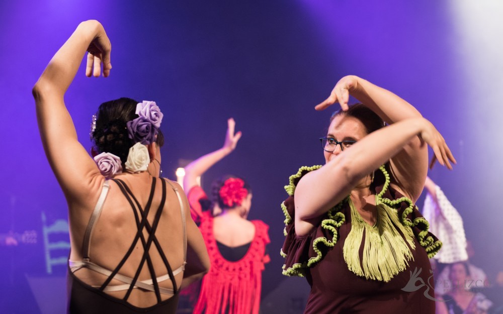 Photo de spectacle