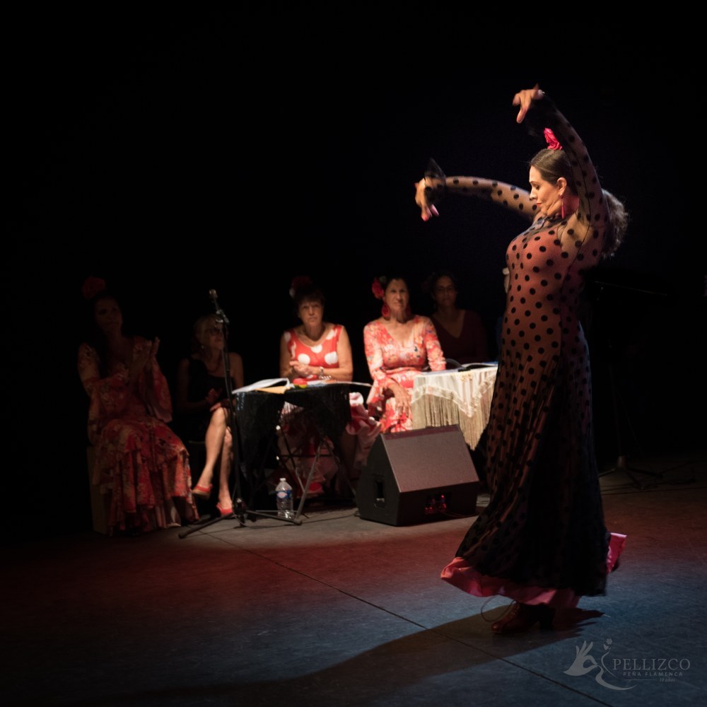 Photo de spectacle