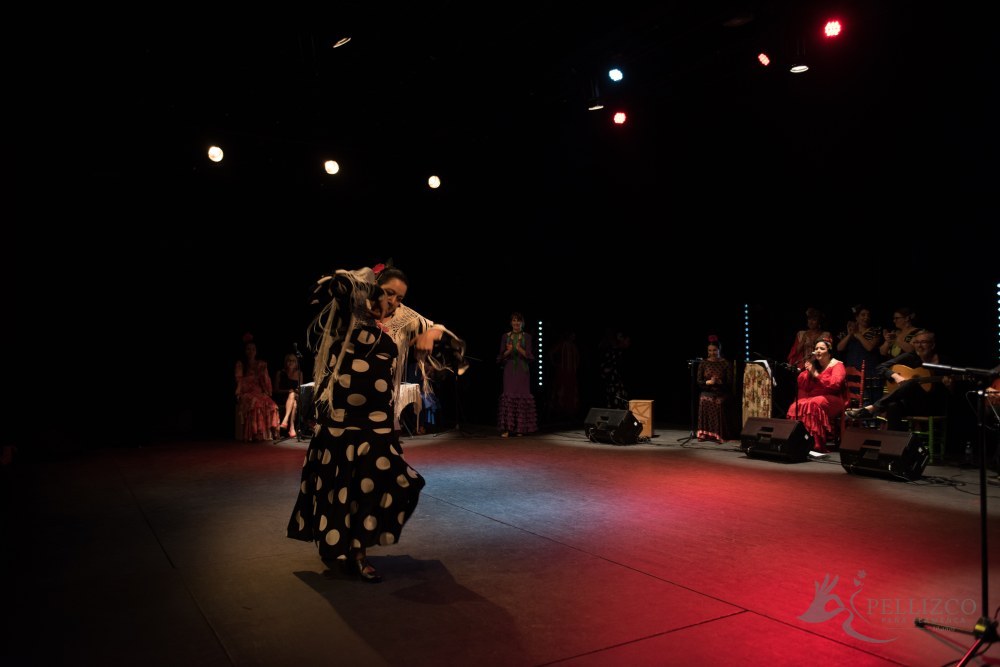 Photo de spectacle