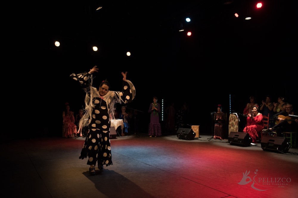Photo de spectacle