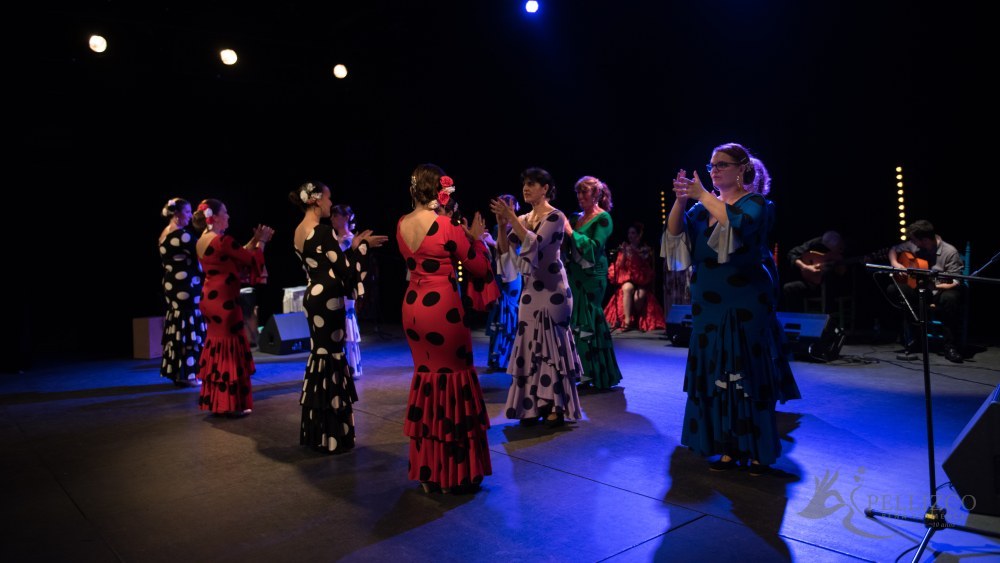Photo de spectacle
