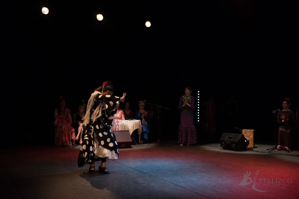 Photo de spectacle