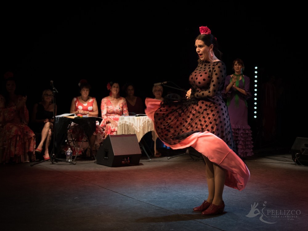 Photo de spectacle