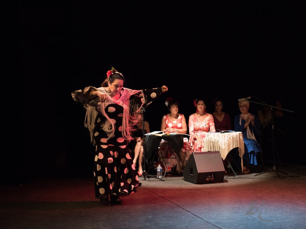 Photo de spectacle