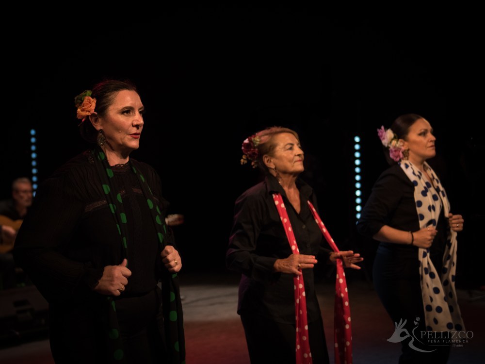 Photo de spectacle