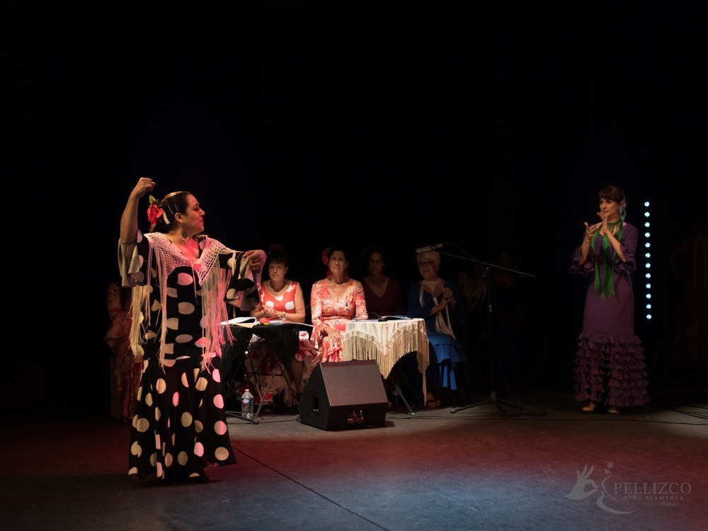 Photo de spectacle