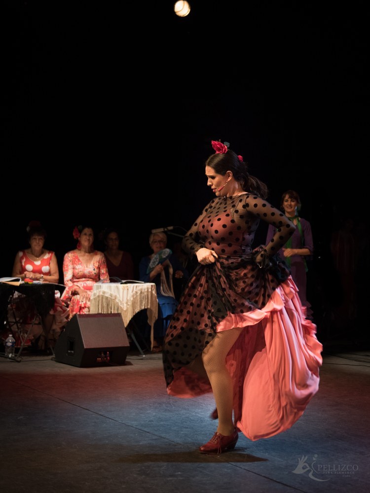 Photo de spectacle