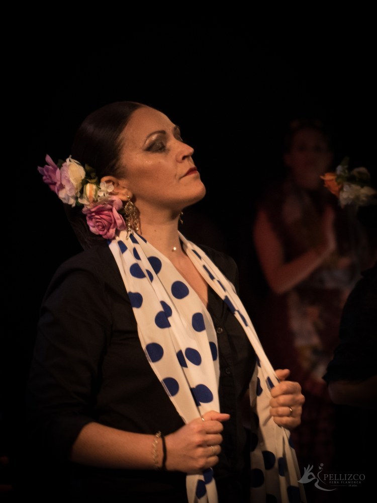 Photo de spectacle