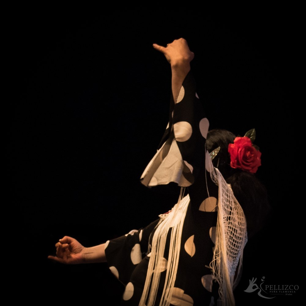 Photo de spectacle