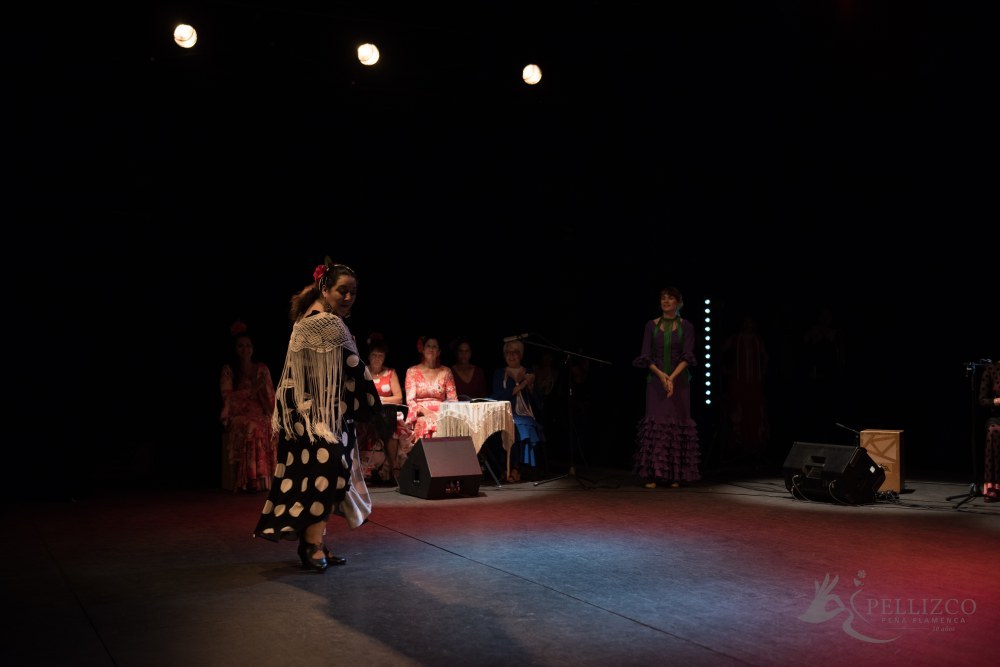 Photo de spectacle