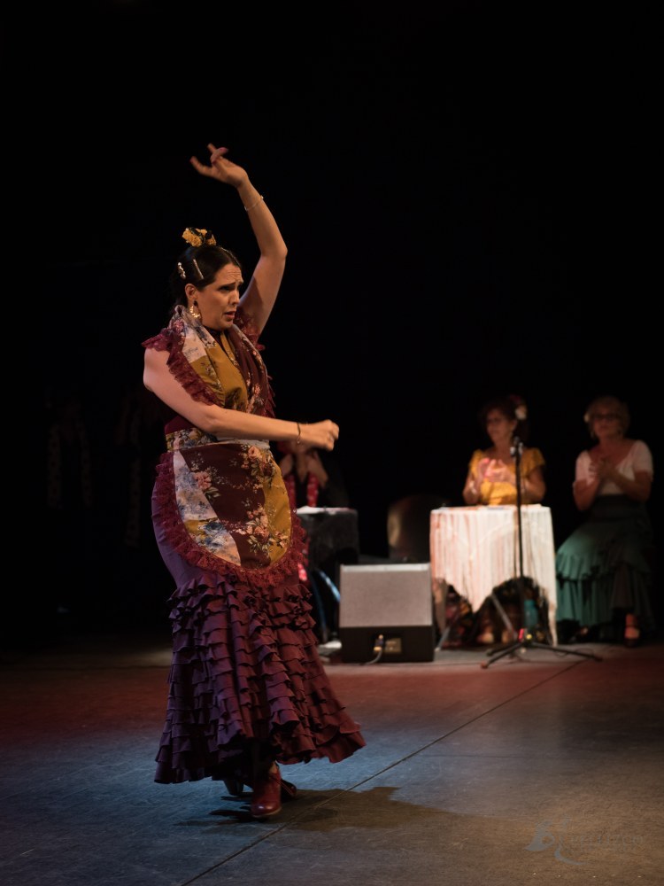 Photo de spectacle