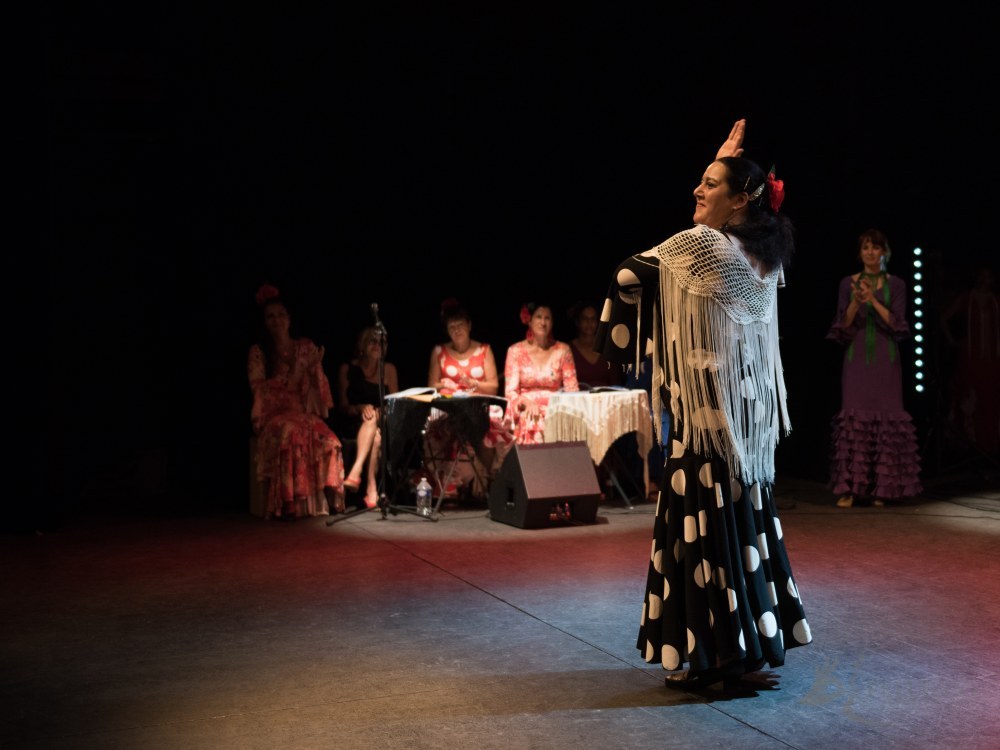 Photo de spectacle
