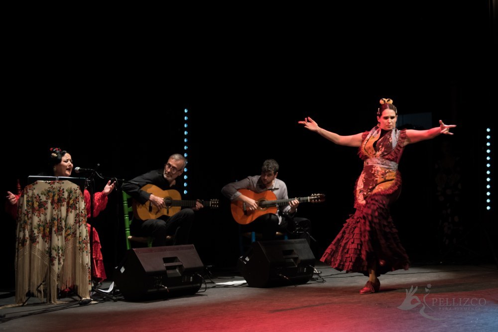 Photo de spectacle