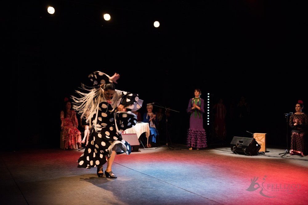 Photo de spectacle