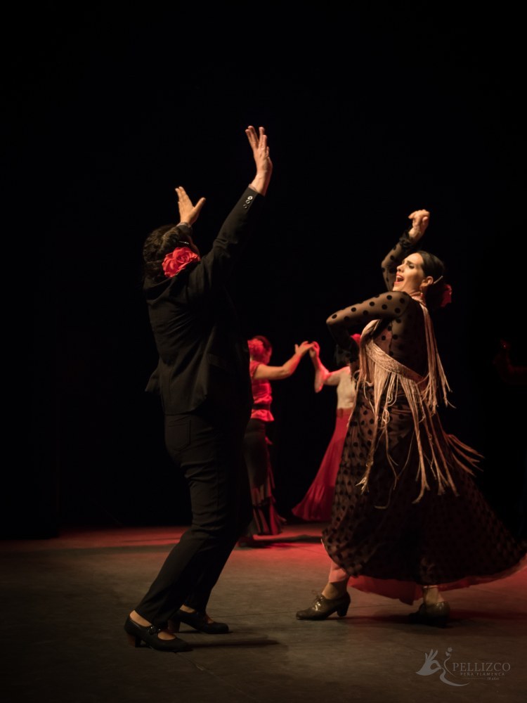 Photo de spectacle