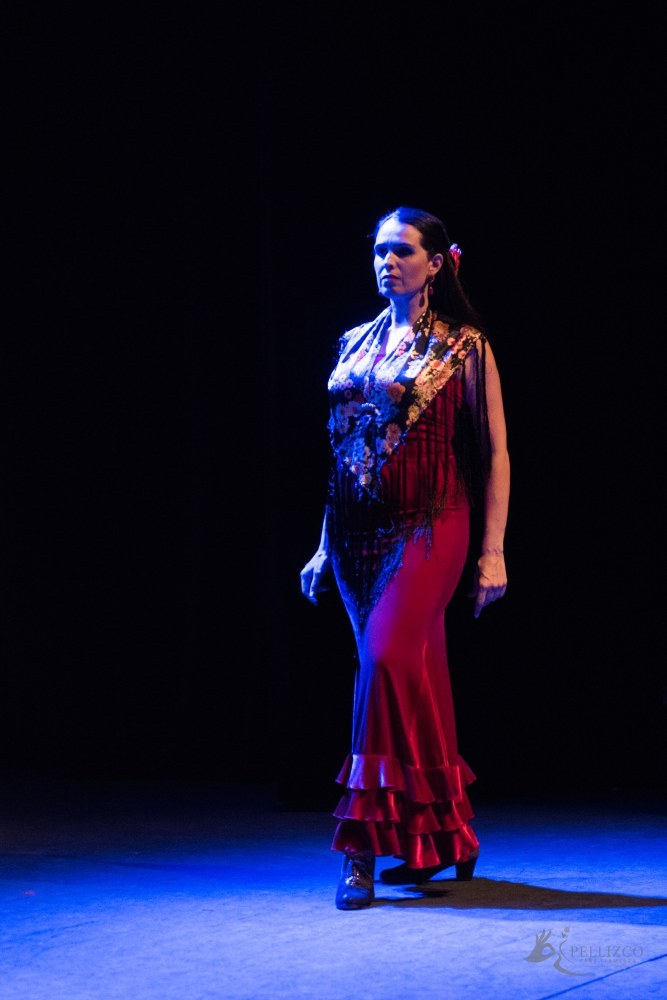 Photo de spectacle