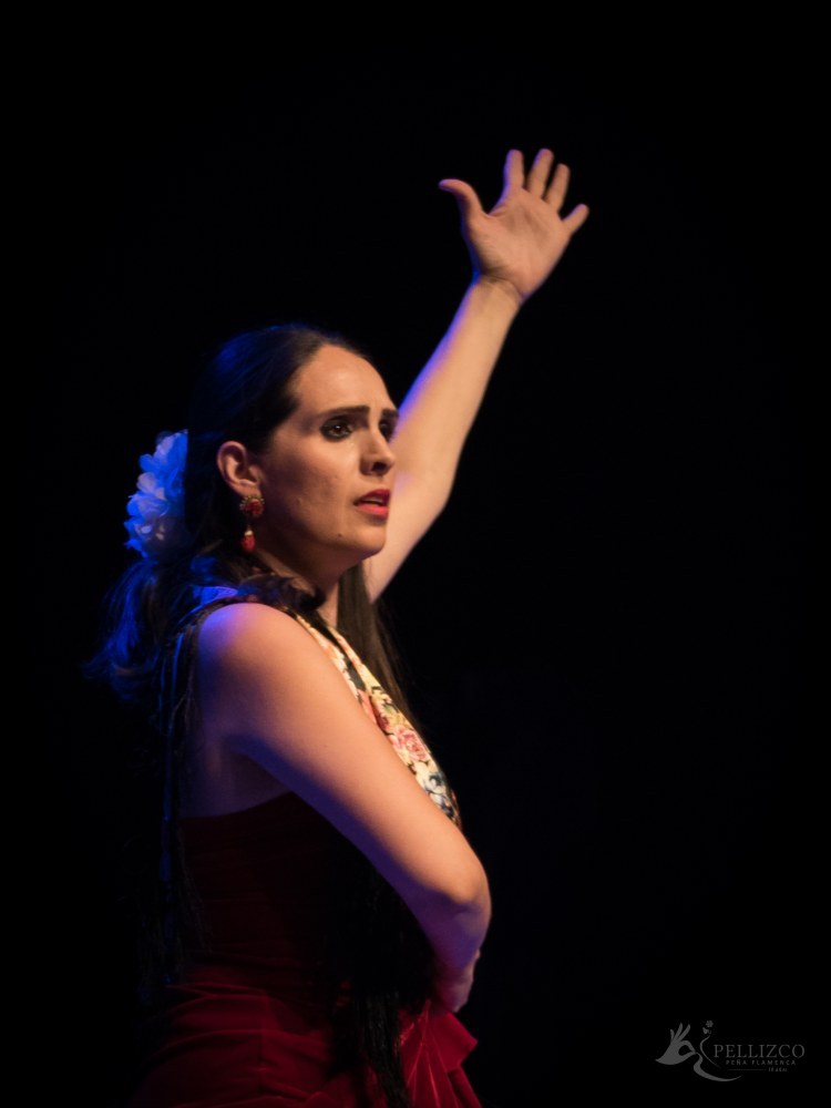 Photo de spectacle