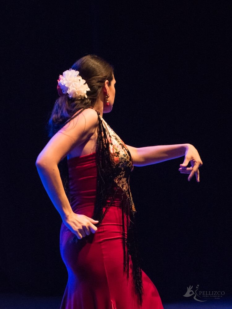 Photo de spectacle