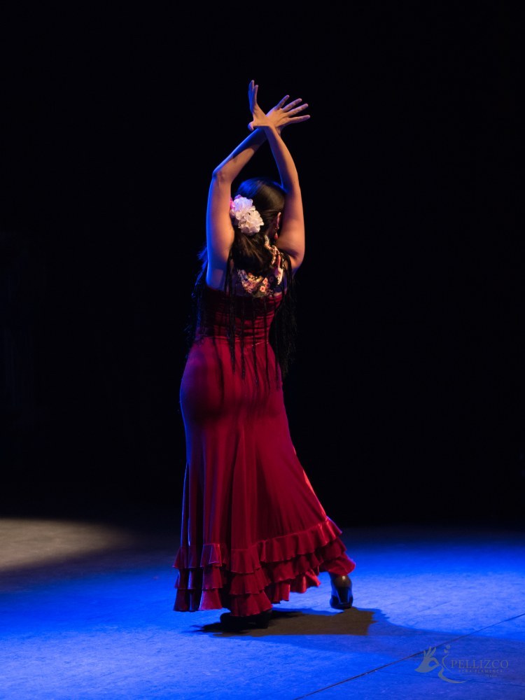 Photo de spectacle