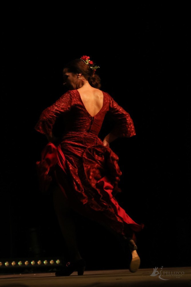 Photo de spectacle