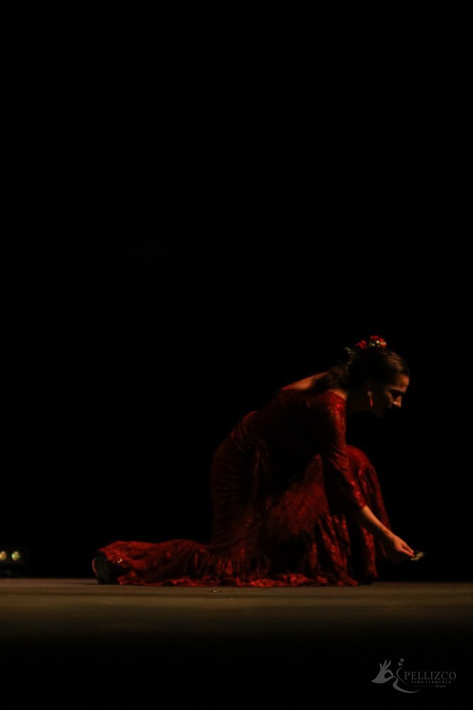 Photo de spectacle