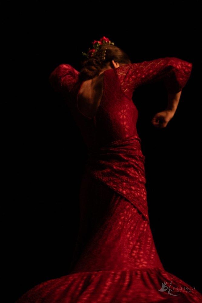 Photo de spectacle