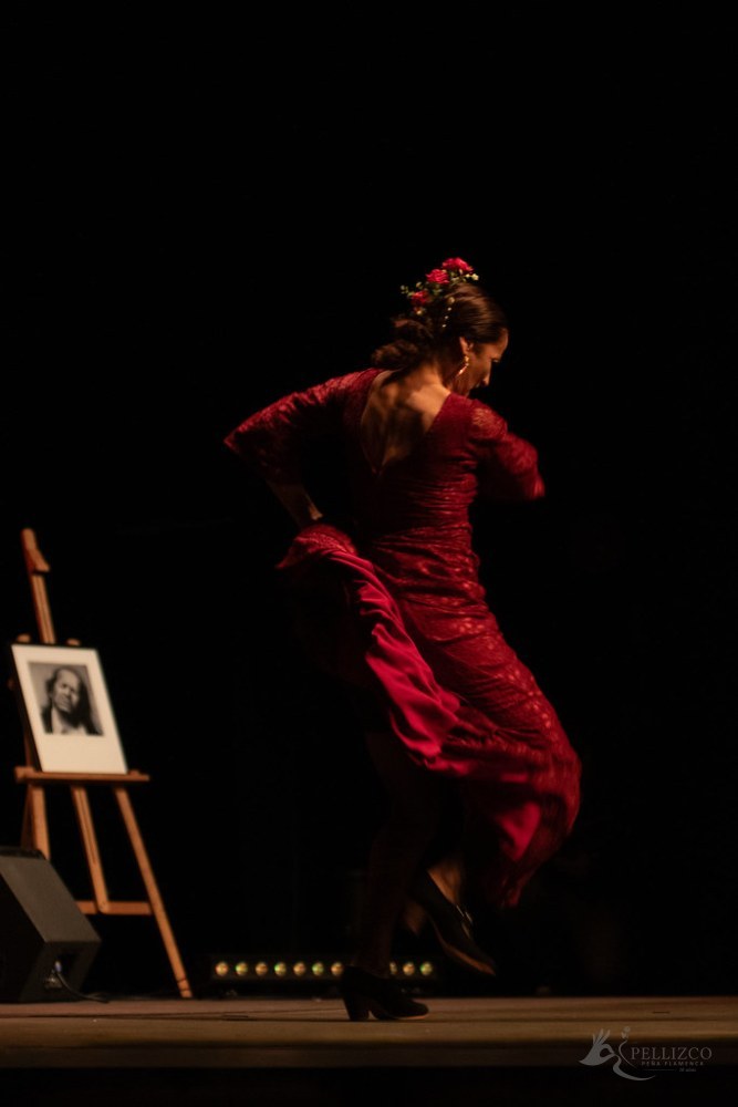 Photo de spectacle