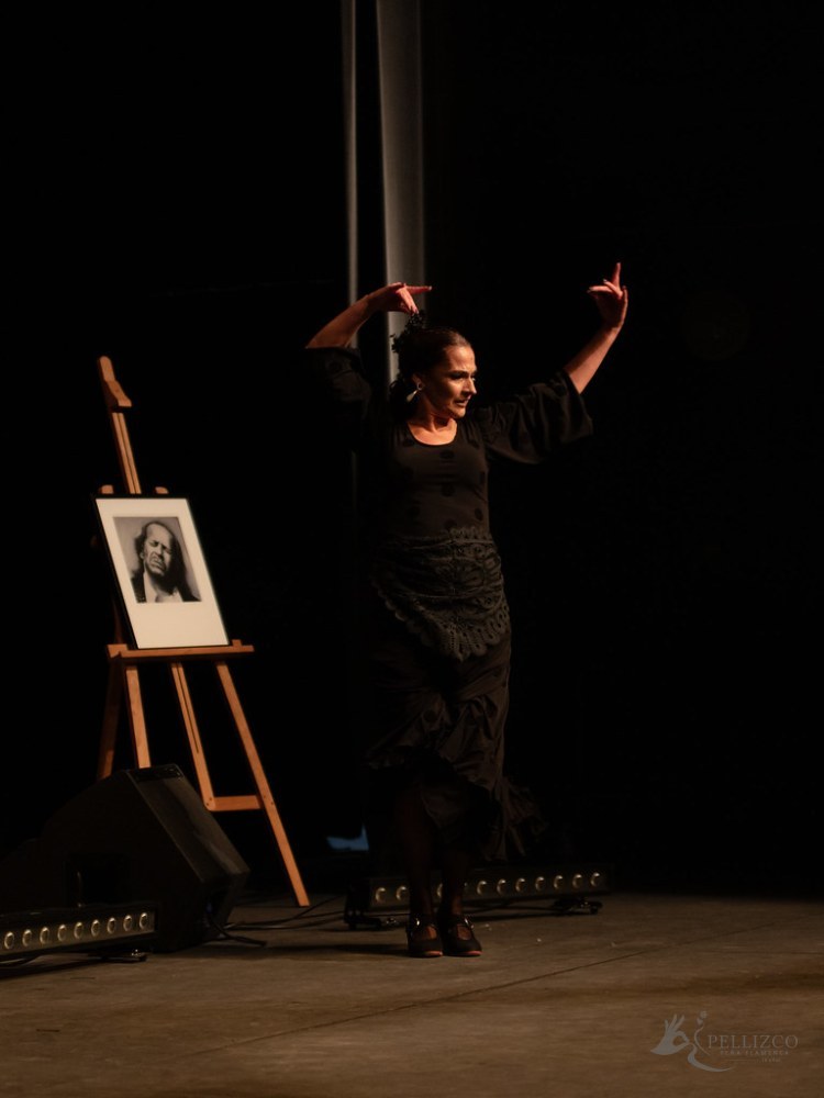 Photo de spectacle