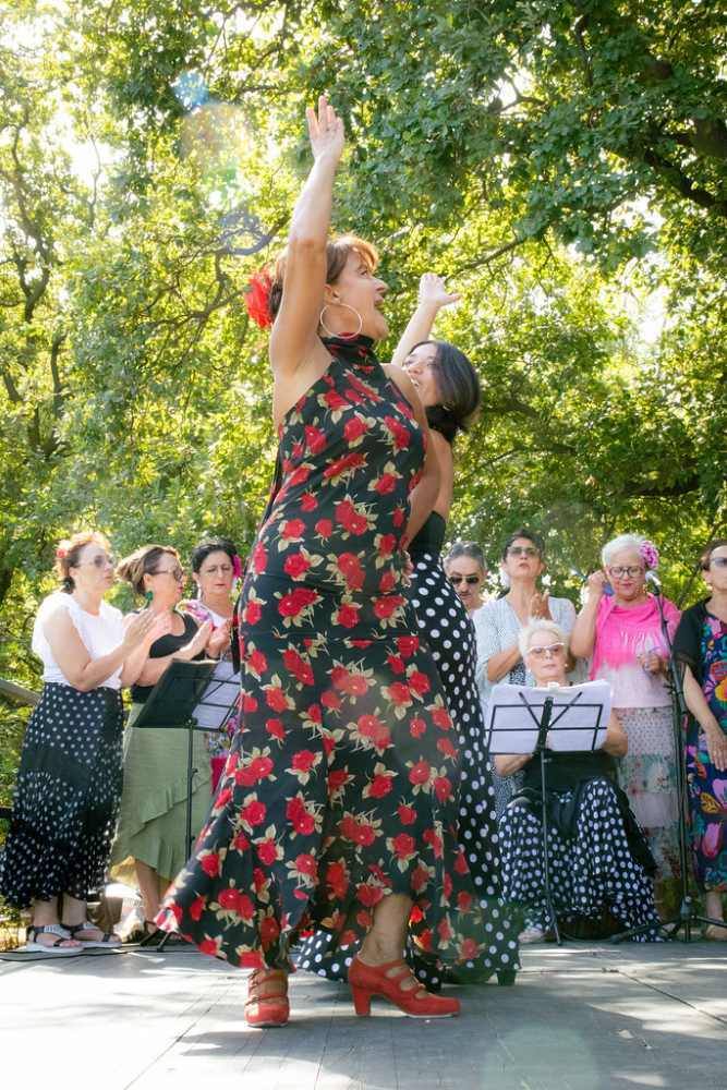 Photo de spectacle