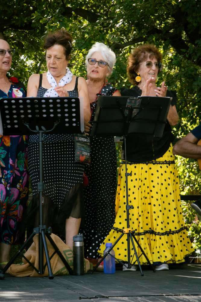 Photo de spectacle